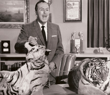 Walt and tigers